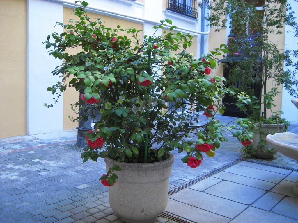 Hostal Huespedes Toledo Мадрид Екстериор снимка